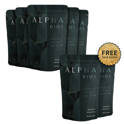 Anointed Bundle